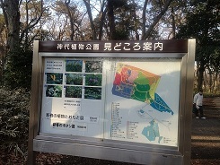 植物公園 (3).jpg