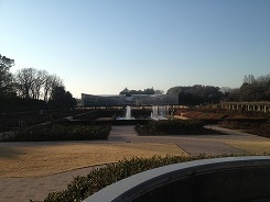 植物公園 (5).jpg