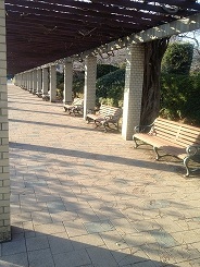 植物公園 (6).jpg
