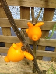 植物公園 (9).jpg