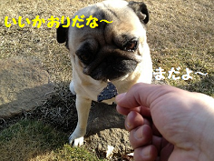 Roo Liver (3).png